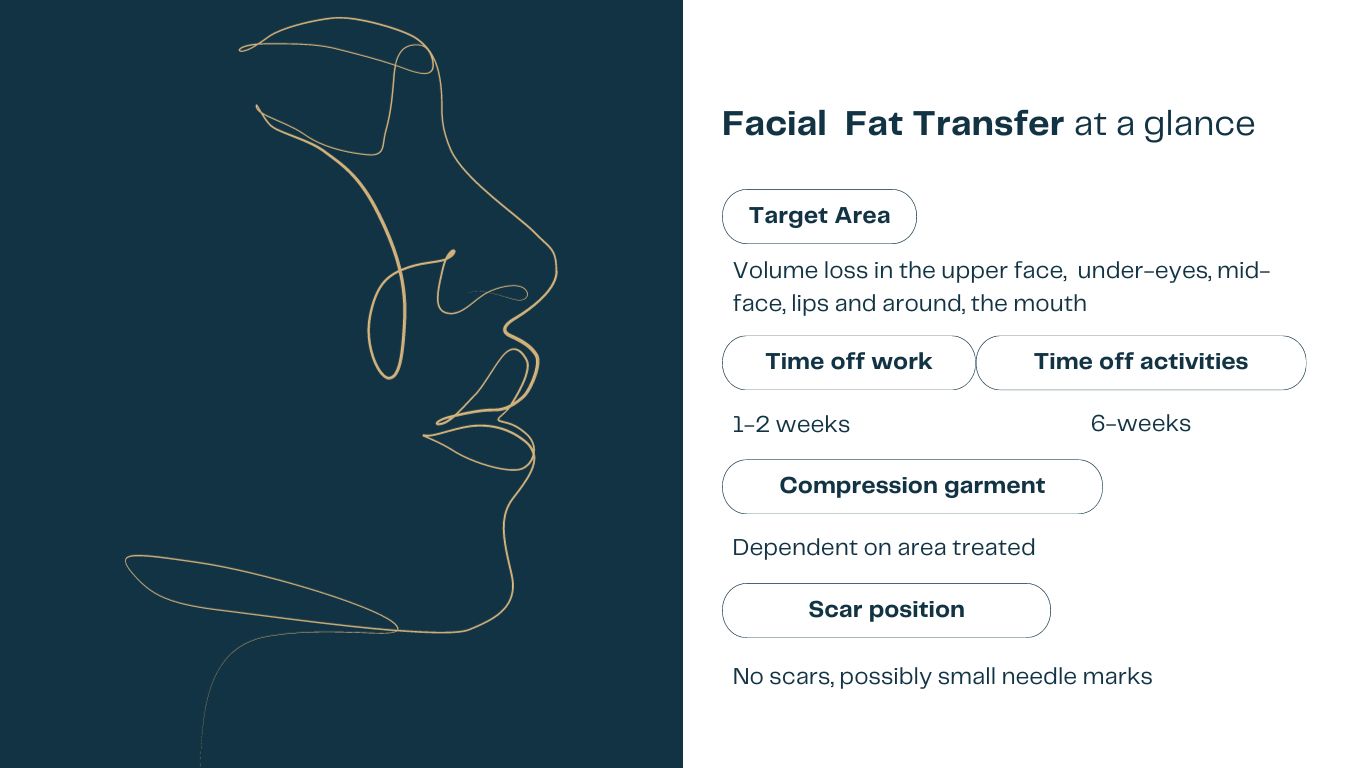 facial fat transfer surgery quick facts