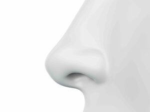 What Is The Most Attractive Nose Shape? 